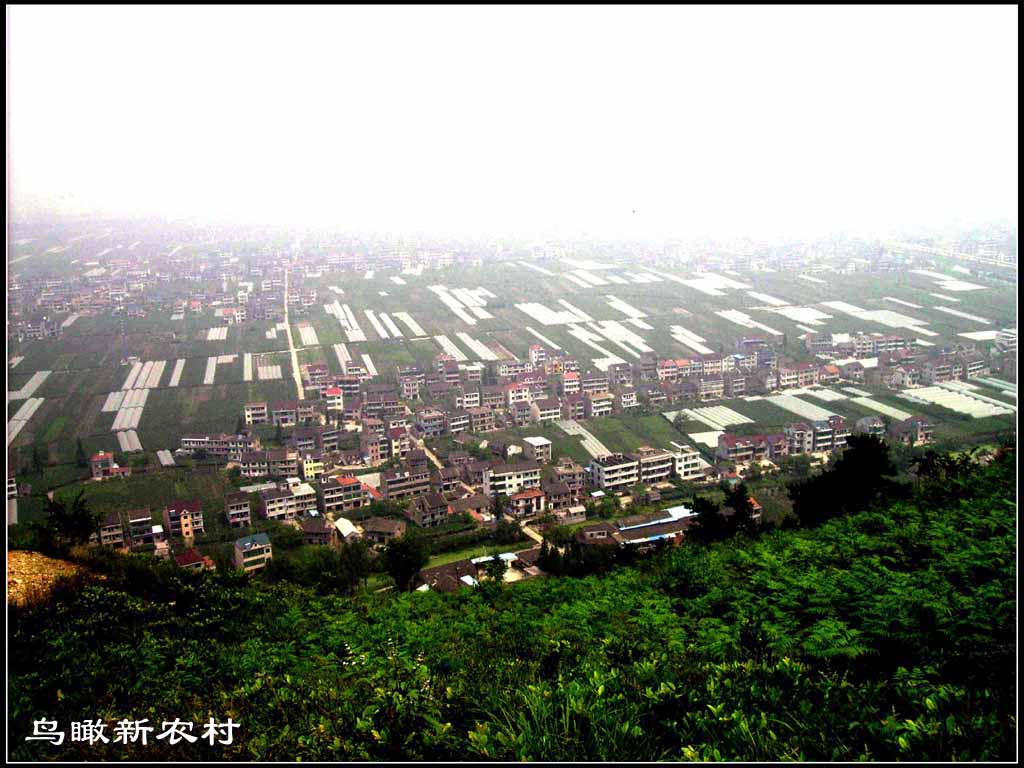 鸟瞰新农村 摄影 晚景