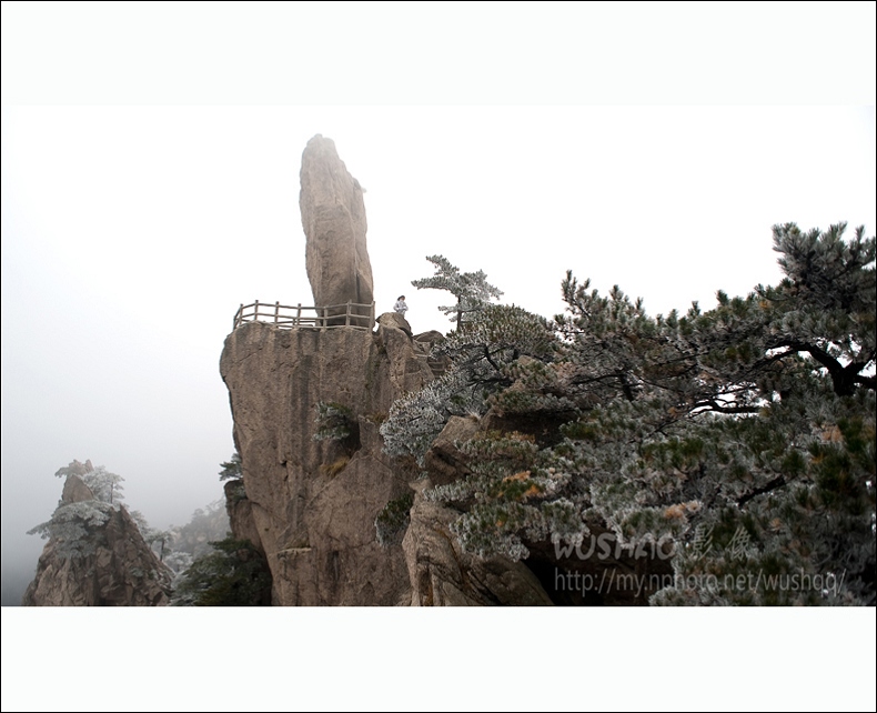 黄山情 摄影 松涛一石