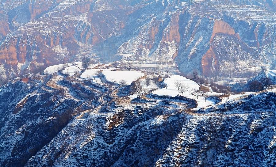 雪舞中原沃大地 摄影 武通凯