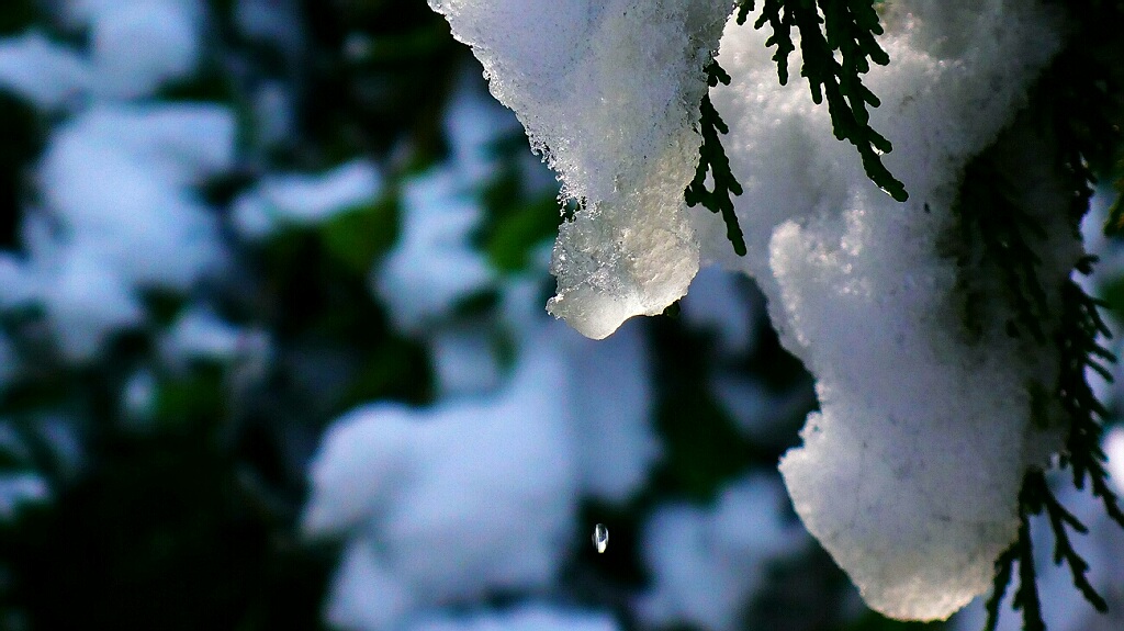 化雪 摄影 刘亚东