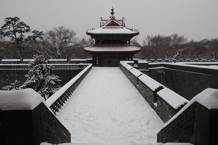 雪景 摄影 芳草.