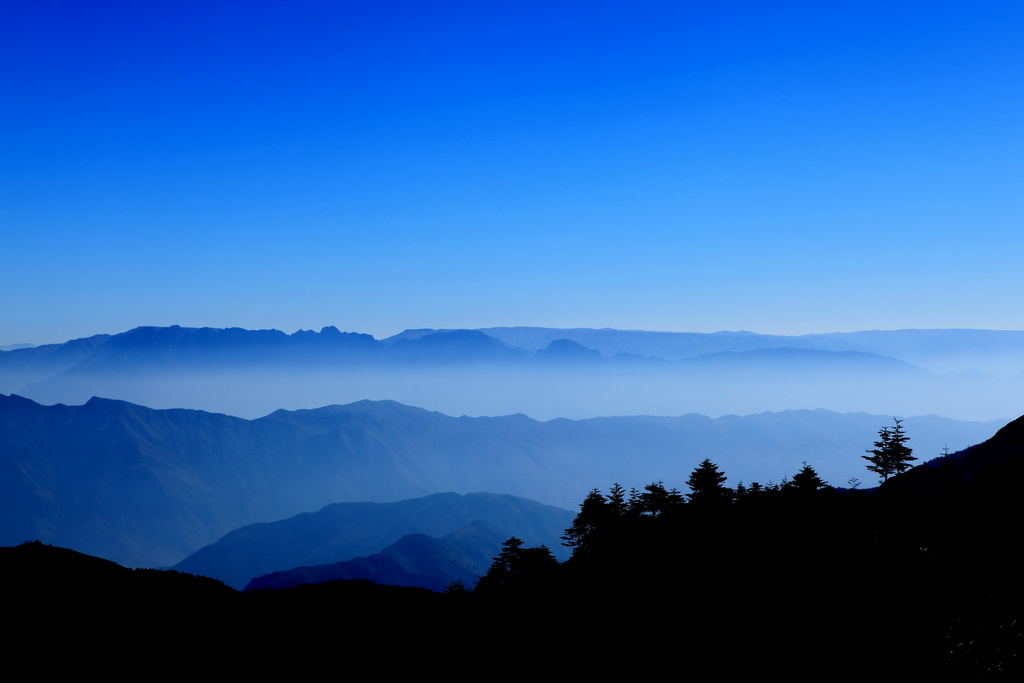 冬景 摄影 勤务员