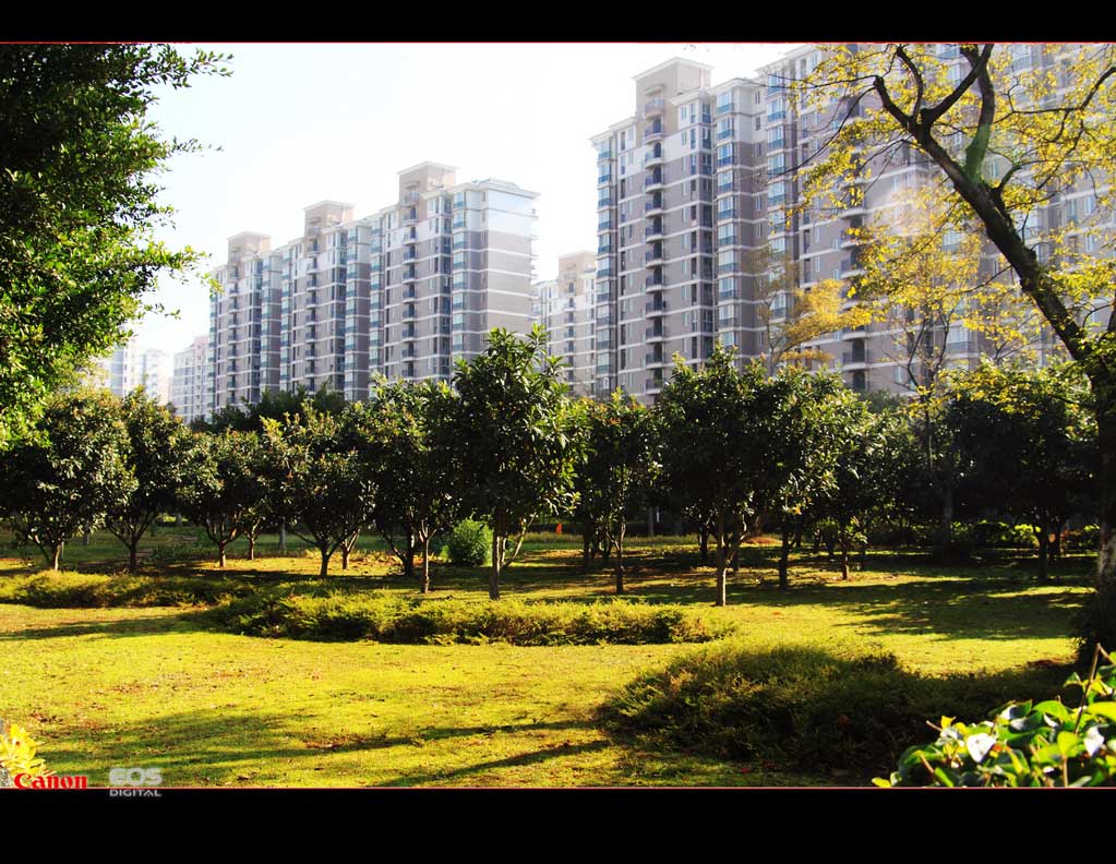 晨 摄影 LiYong_sam
