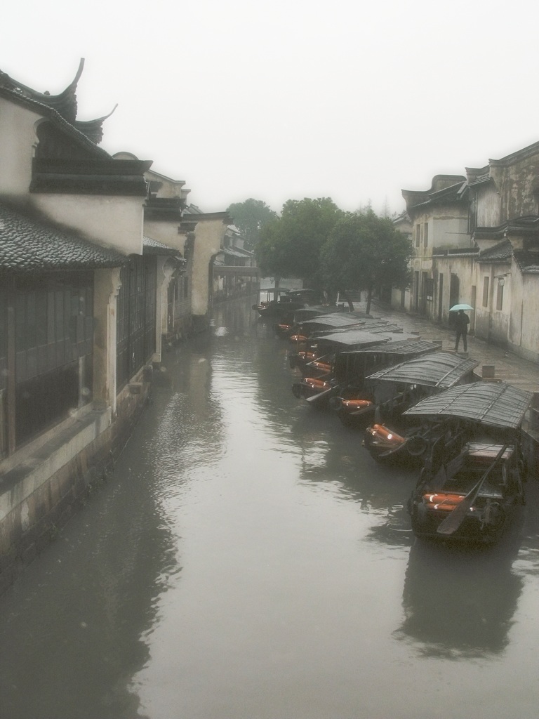 雨中的乌镇之二 摄影 草原慈母