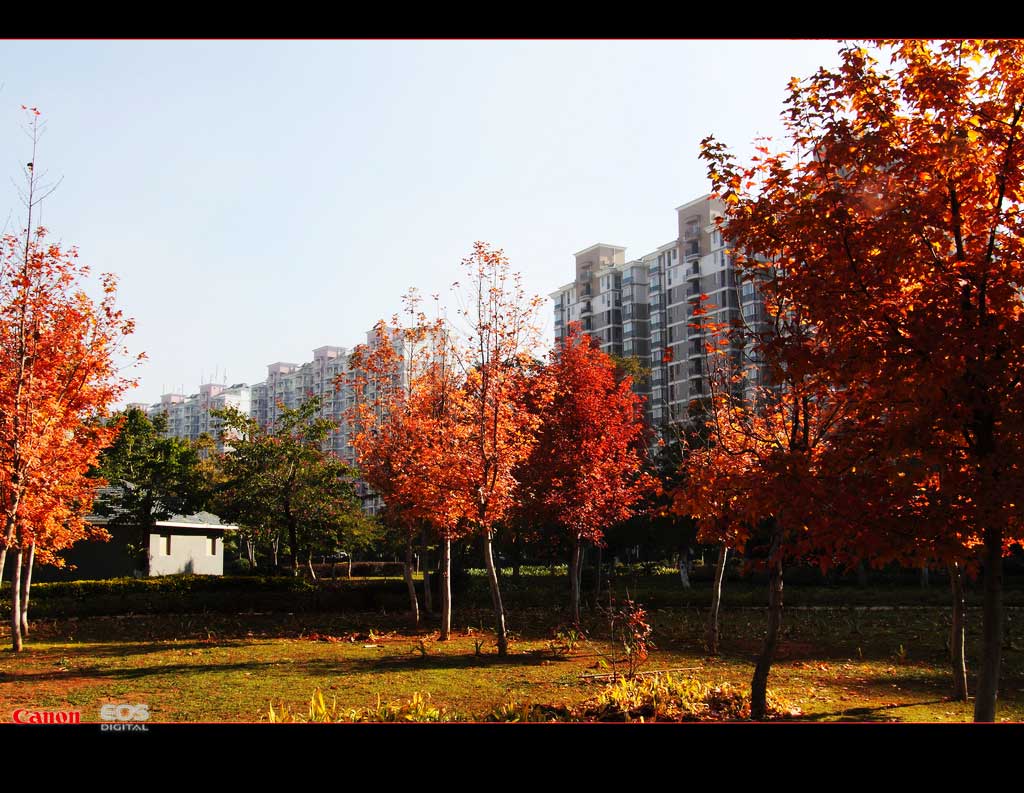 晨 摄影 LiYong_sam