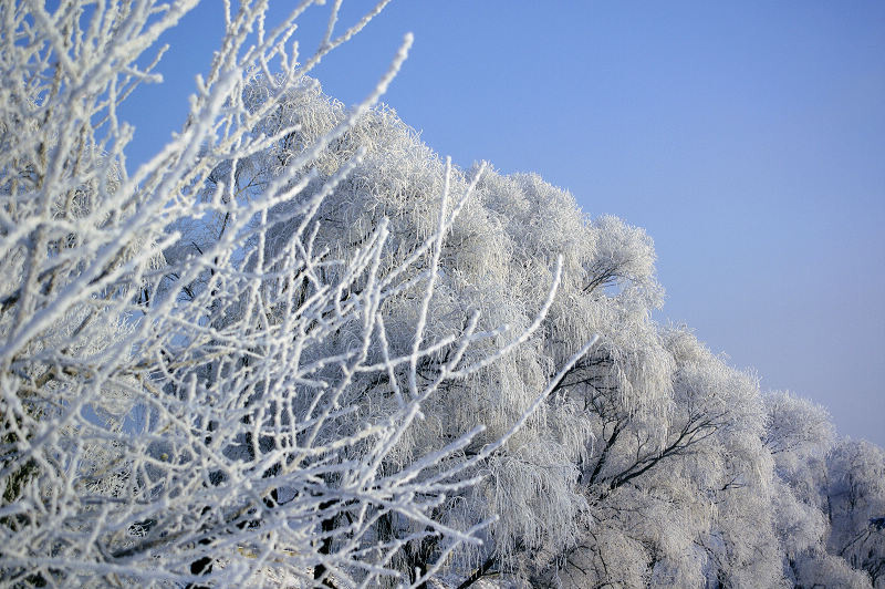 吉林雾凇 摄影 雪色年华