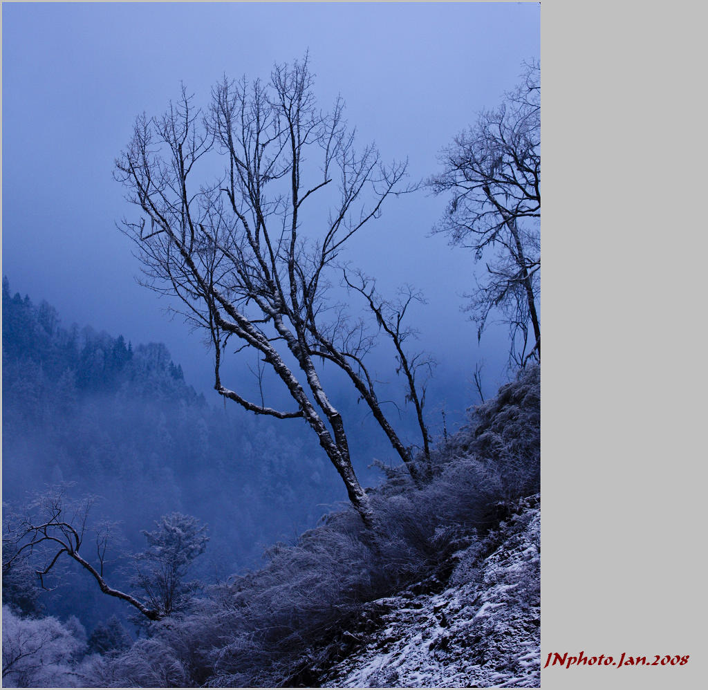 毕棚沟雪景 摄影 暗房小工