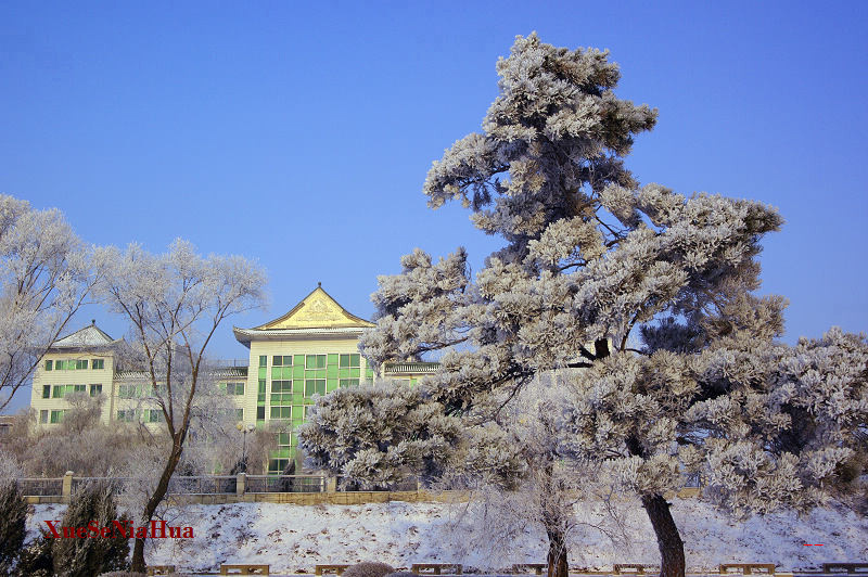 吉林雾凇 摄影 雪色年华