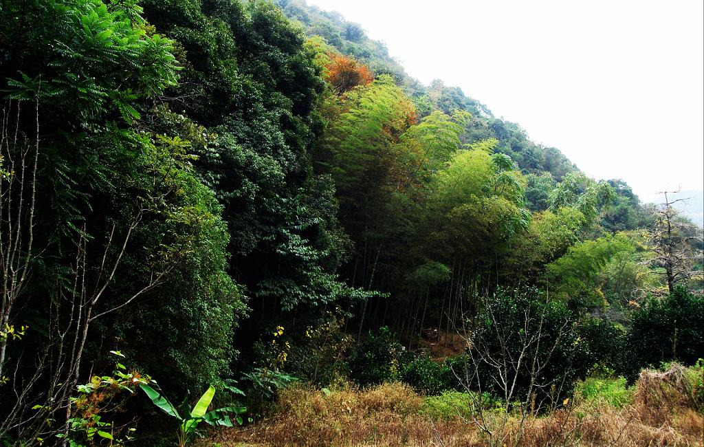 桂林灵川山区初冬 摄影 山海风