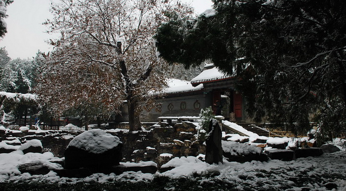 颐和园雪景13 摄影 三届