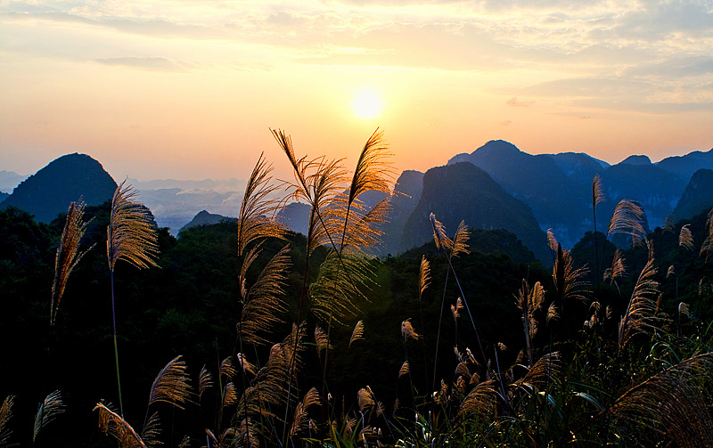 夕阳下 摄影 临江之鹰