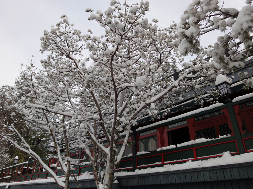 雪景习作（2） 摄影 取经人