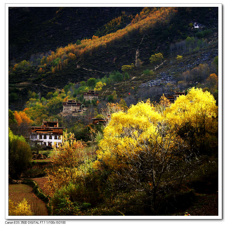 山寨秋色 摄影 youzong