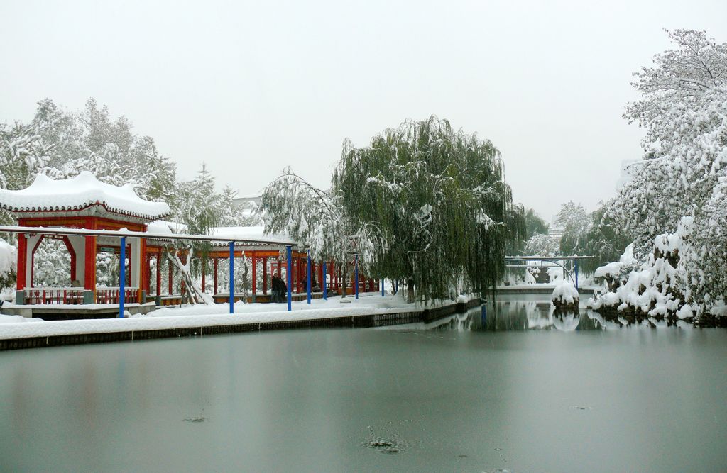 石家庄.雪 摄影 沧浪秋吟