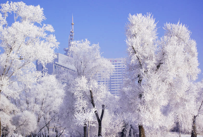 吉林雾凇 摄影 雪色年华