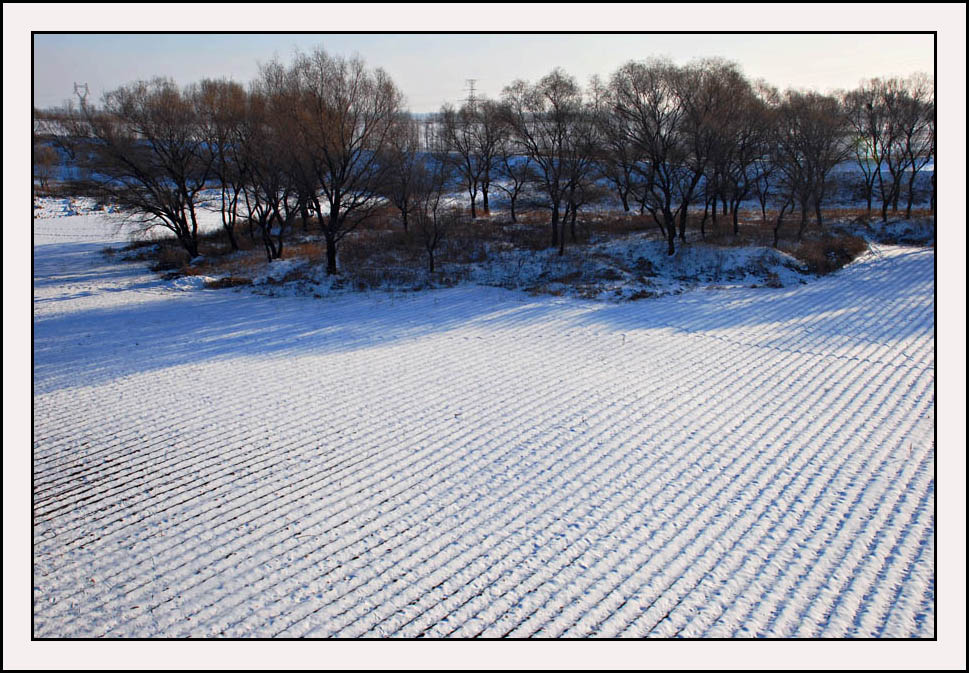 雪之韵 摄影 九安