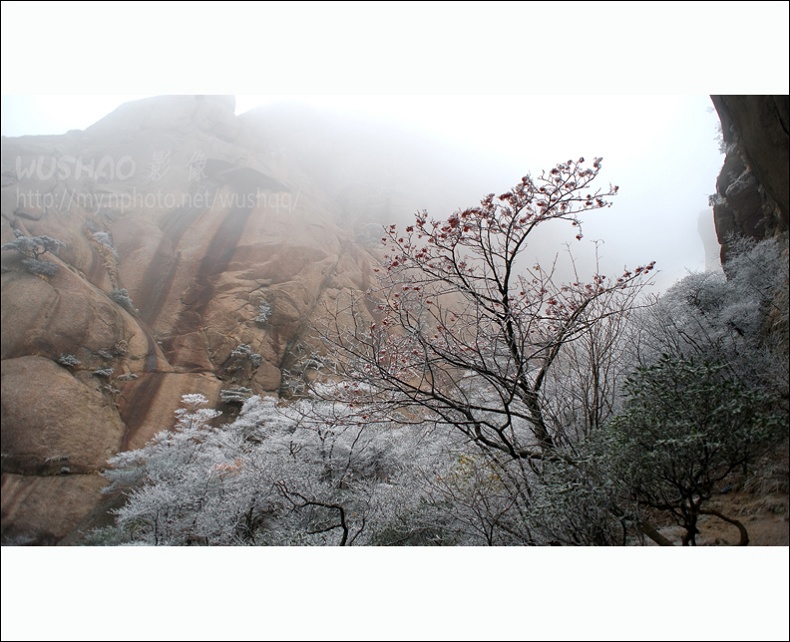 黄山初雪 摄影 松涛一石