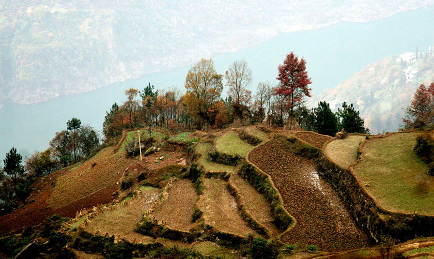 大山行—高山田园 摄影 冬谷子