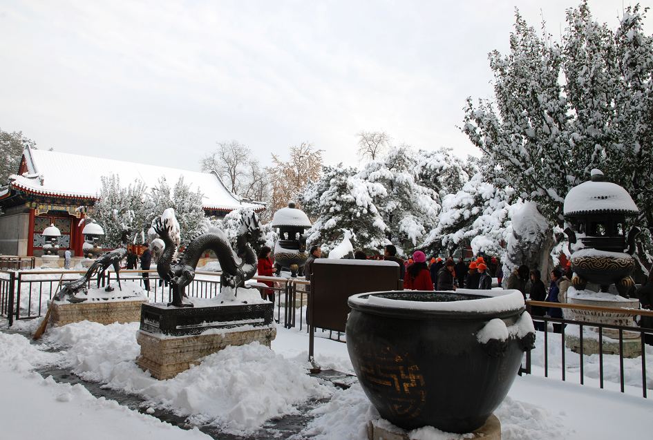 北京第二场雪 摄影 花皮蛇