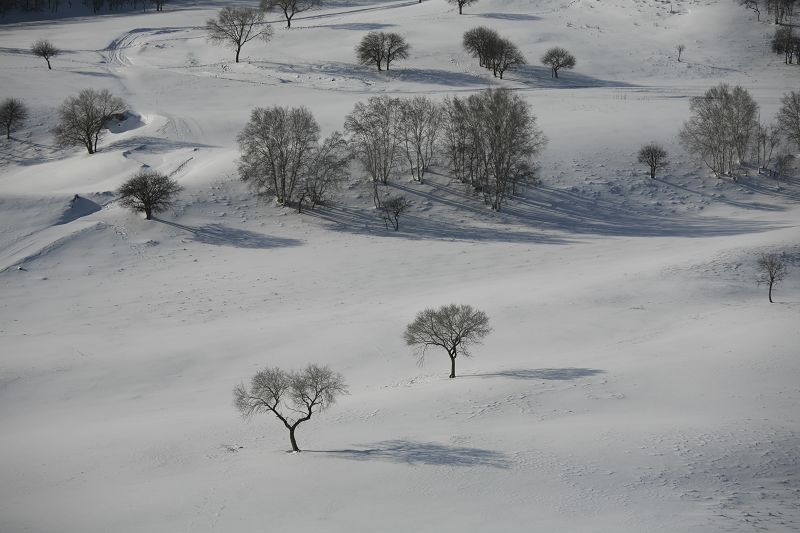 雪 摄影 郭二子