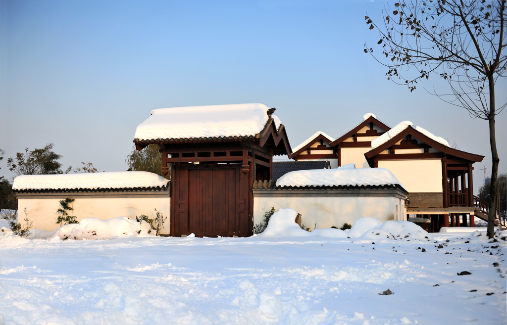 家住三千客  大雪封朱门   君子静如竹   皆为摄影人 摄影 康慨