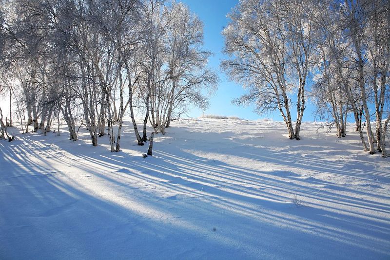 坝上雪景 摄影 一意孤行客