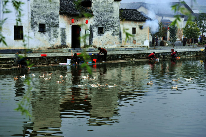 乡 村 的 早 晨 摄影 阿农学艺