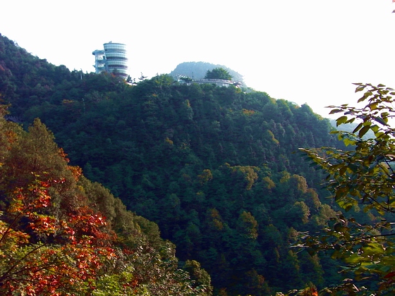 观景台 摄影 闲来寻花