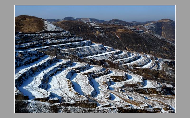 雪域高原 摄影 白丑