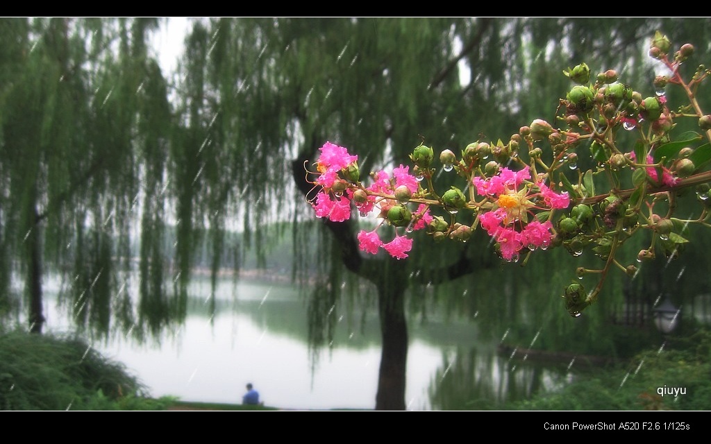 下雨了！ 摄影 秋雨