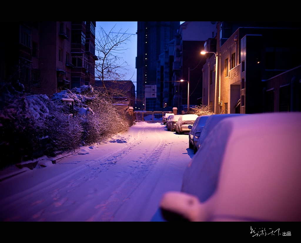 雪后清晨 摄影 灵魂深处