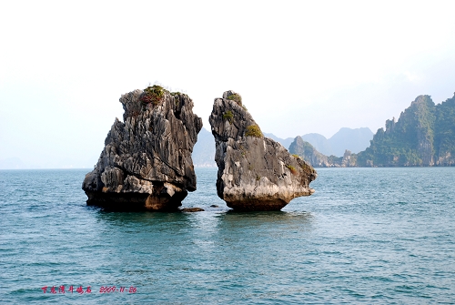 下龙湾斗鸡石 摄影 南国老李