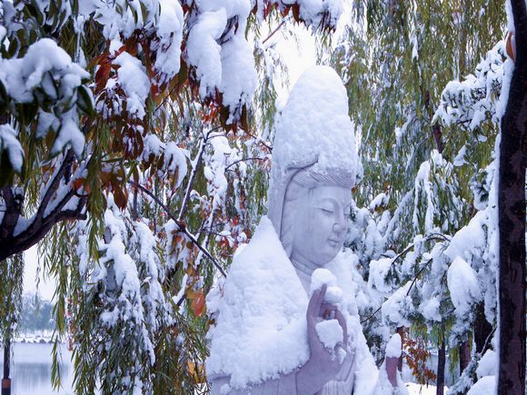 雪中 摄影 哈哈乐