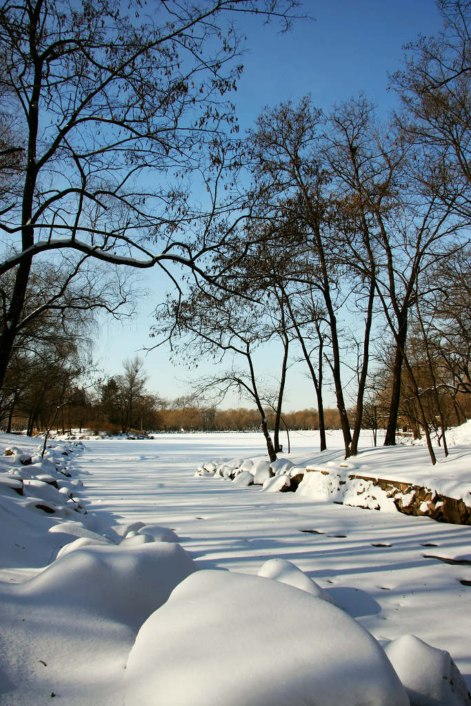 雪 摄影 影海无边