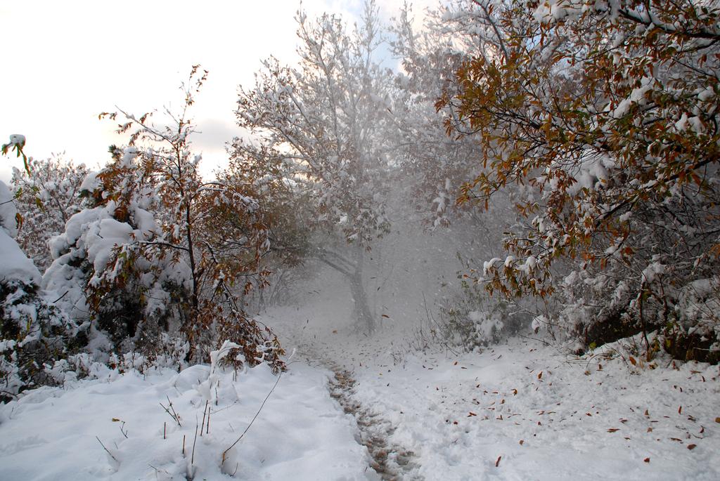 秋雪风乍起 摄影 超梦