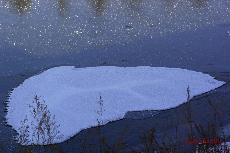 冰 叶 摄影 雪色年华