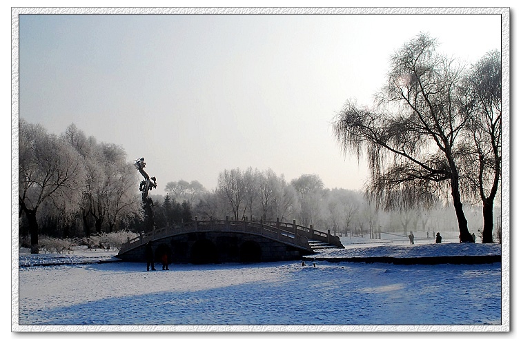 雪后小景 摄影 幸福时光D