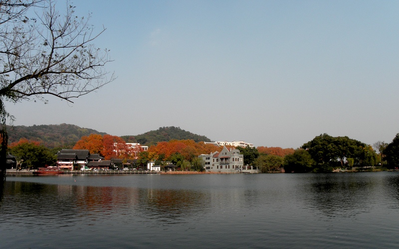 秋景 摄影 一口鸟