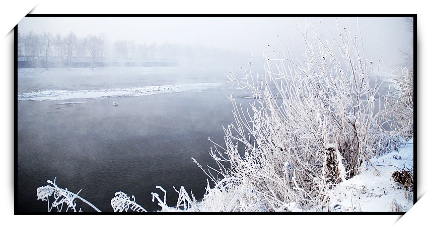 小景 摄影 雪中飞