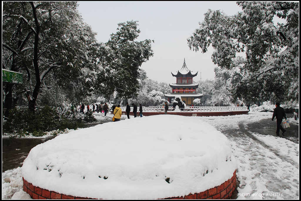 冬雪 摄影 阳光灿烂中