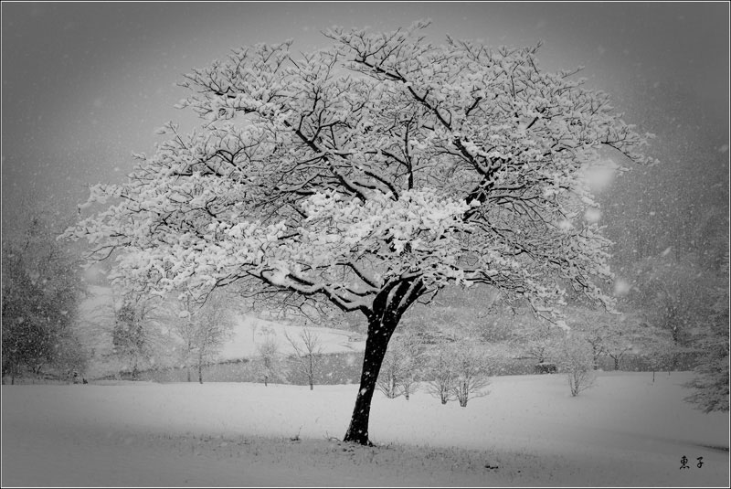 北维初雪 摄影 禾惠子