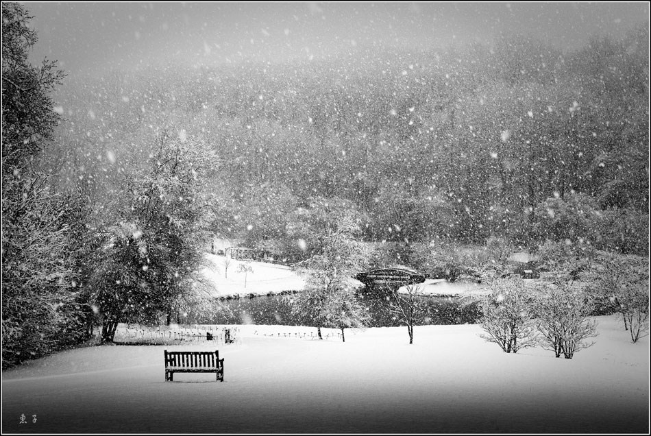 北维初雪 (点击会大些) 摄影 禾惠子