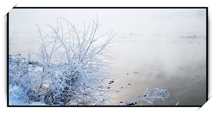 小景2 摄影 雪中飞