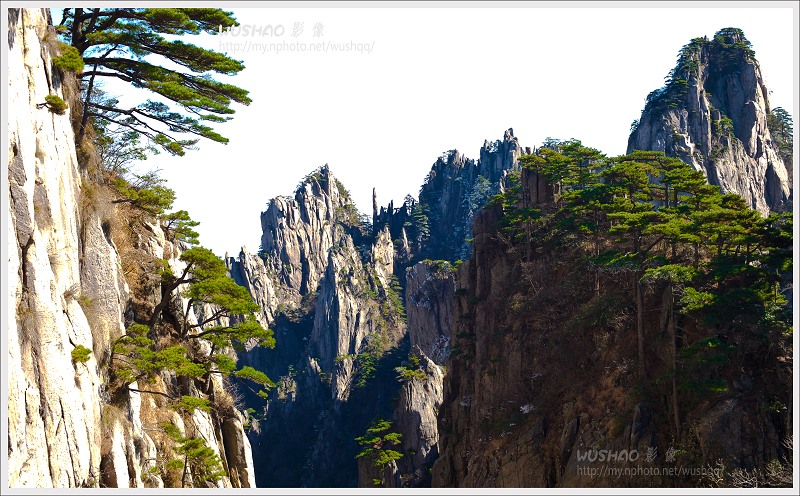 黄山之秀 摄影 松涛一石