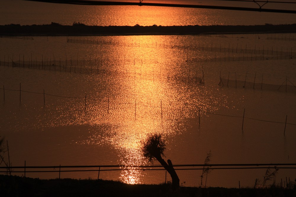 太  湖  霞  光 摄影 影痕