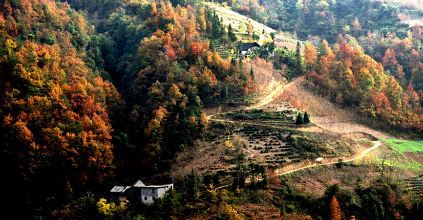 大山行 --- 山道弯弯 摄影 冬谷子