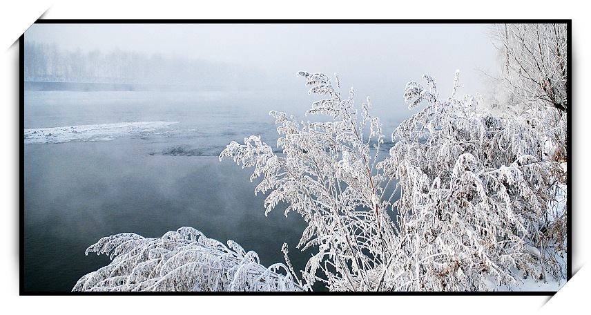 小景3 摄影 雪中飞