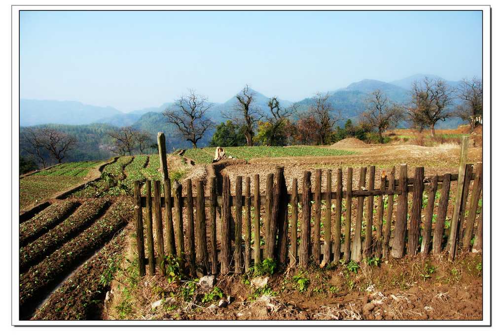 原野 摄影 千岛湖