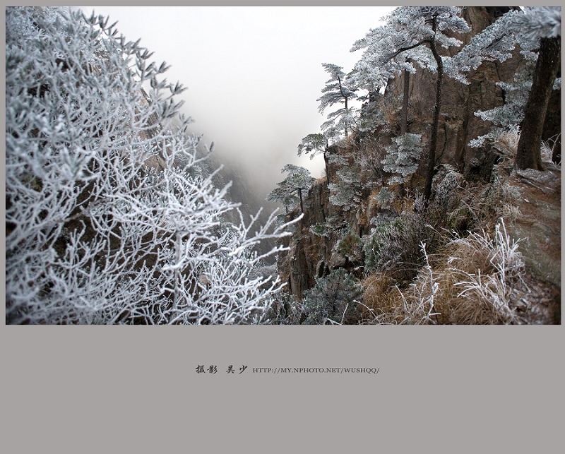 黄山初雪 摄影 松涛一石