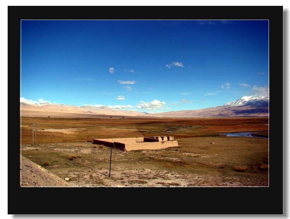 南疆风情（7）——高原草场 摄影 园艺